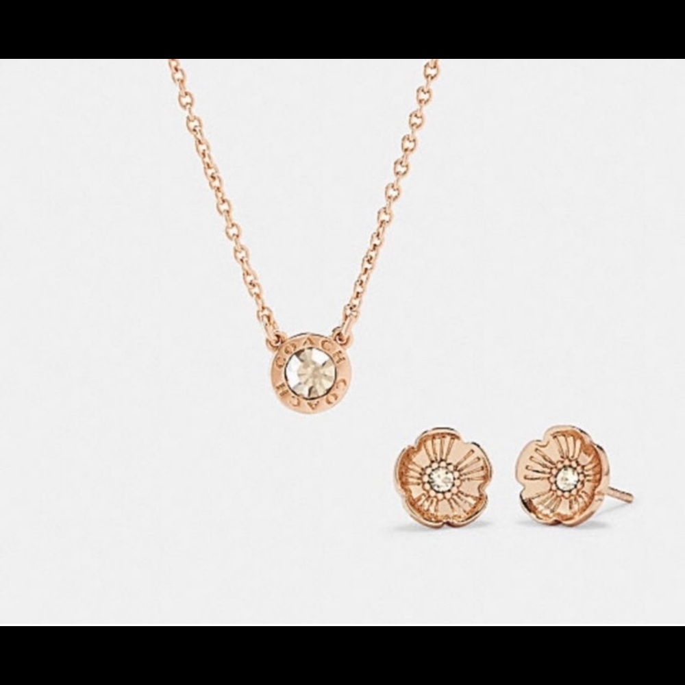 Coach Rose Gold Stud Earrings and Necklace